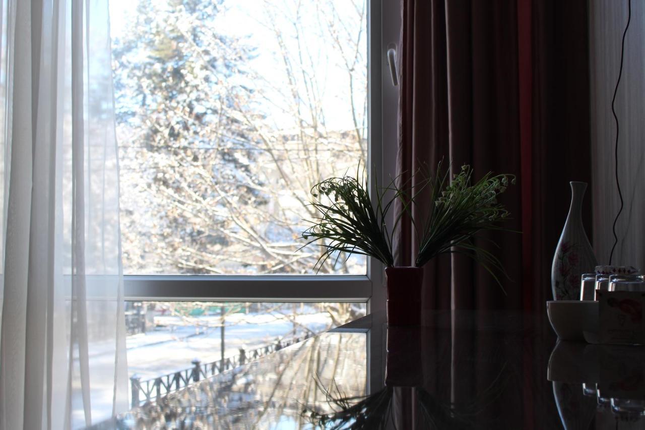 Hotel Borjomi Aisi Bagian luar foto